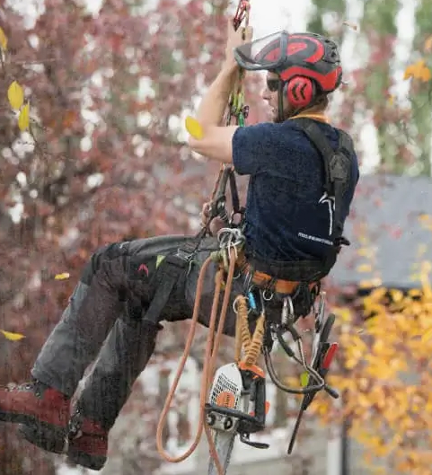 proteams-can-improve