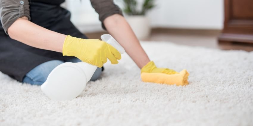 Carpet Cleaning with Inventory Tracking